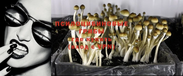 скорость Кукмор