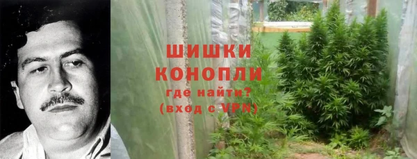 мяу мяу мука Абаза